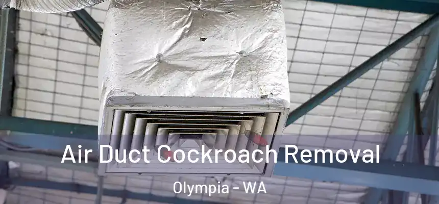 Air Duct Cockroach Removal Olympia - WA