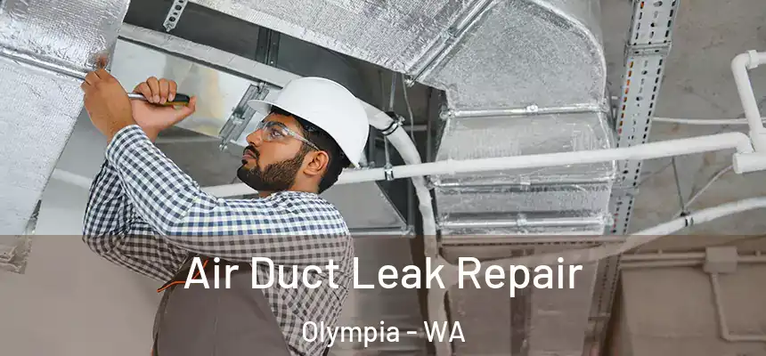 Air Duct Leak Repair Olympia - WA
