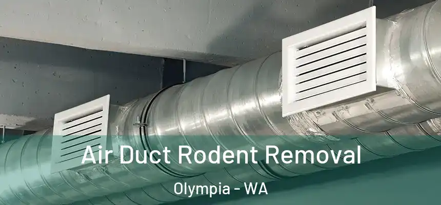  Air Duct Rodent Removal Olympia - WA