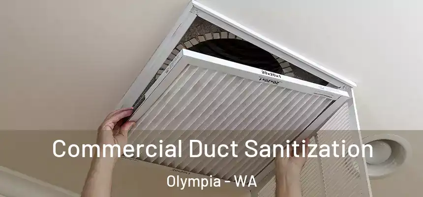 Commercial Duct Sanitization Olympia - WA