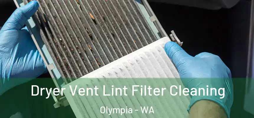 Dryer Vent Lint Filter Cleaning Olympia - WA