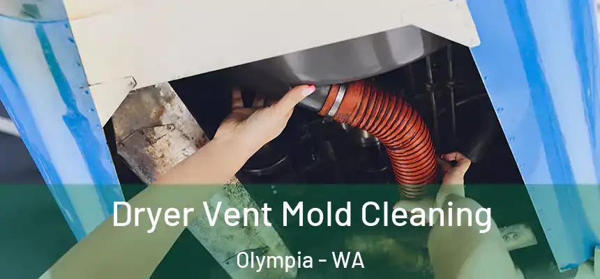 Dryer Vent Mold Cleaning Olympia - WA