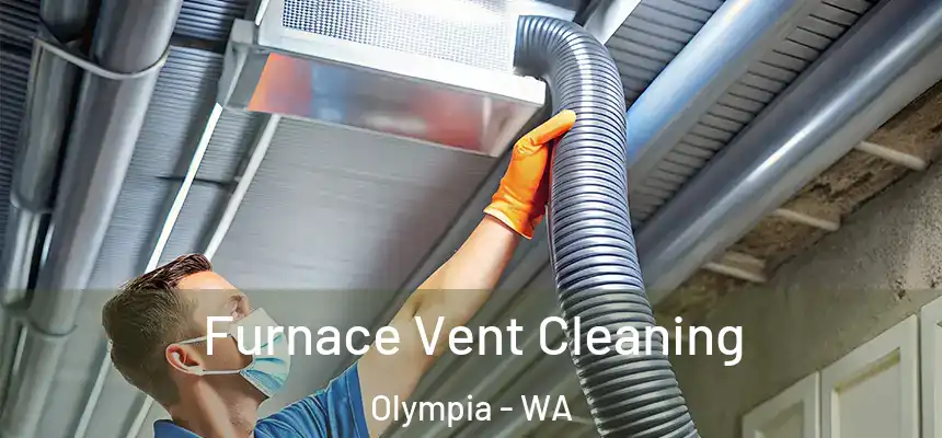 Furnace Vent Cleaning Olympia - WA