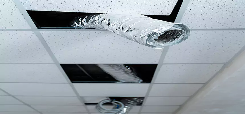 Our Air Duct Pet Hair Removal Services in Olympia, WA