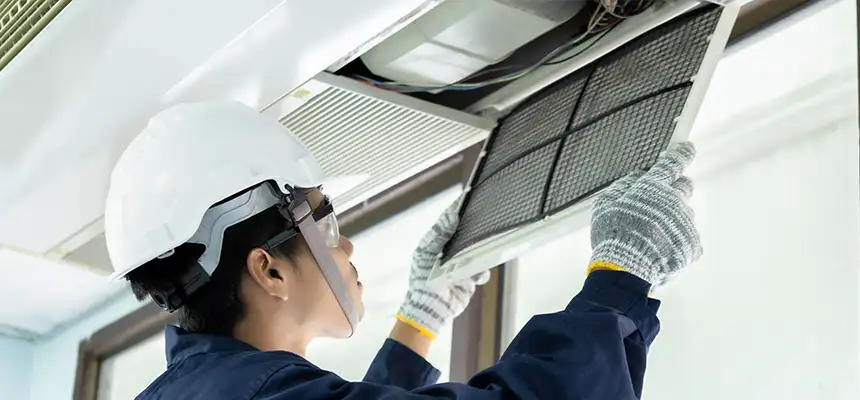 Our Lint Trap Cleaning Service Services in Olympia, WA