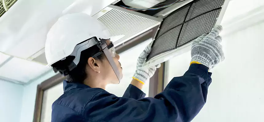 Our Mold & Mildew Removal from Air Ducts Services in Olympia, WA