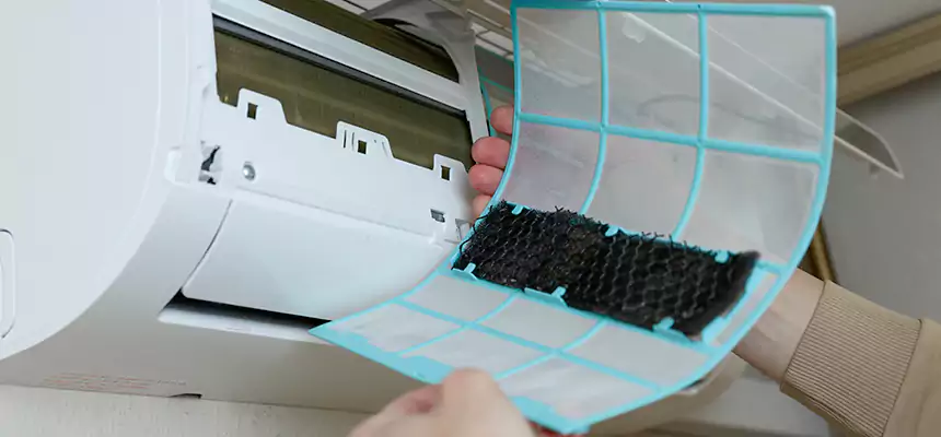 Gentle Ductwork Odor-Control Pet Dander Duct Cleaning in Olympia, WA