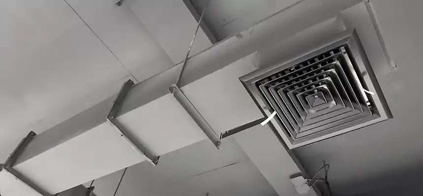 Our Rodent Droppings In Vents Services in Olympia, WA