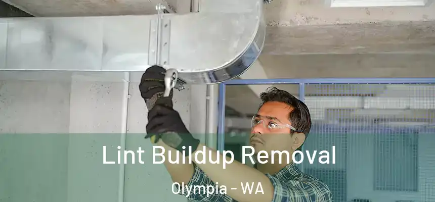 Lint Buildup Removal Olympia - WA