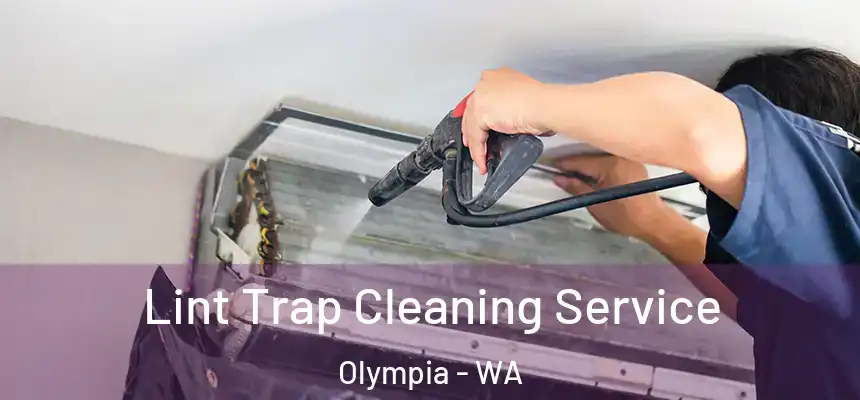 Lint Trap Cleaning Service Olympia - WA