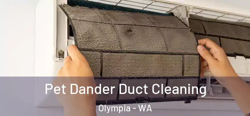 Pet Dander Duct Cleaning Olympia - WA