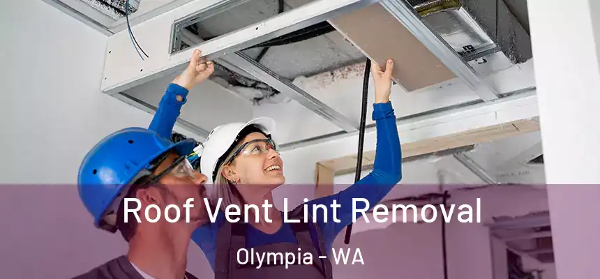 Roof Vent Lint Removal Olympia - WA