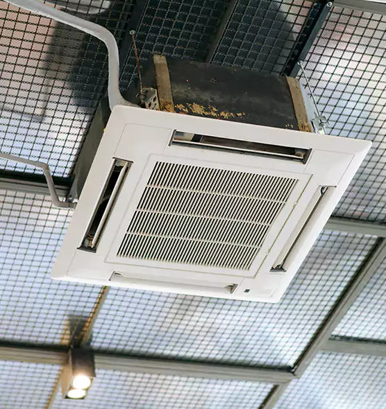 Top-Notch Allergy Relief Vent Cleaning Services in Olympia, WA