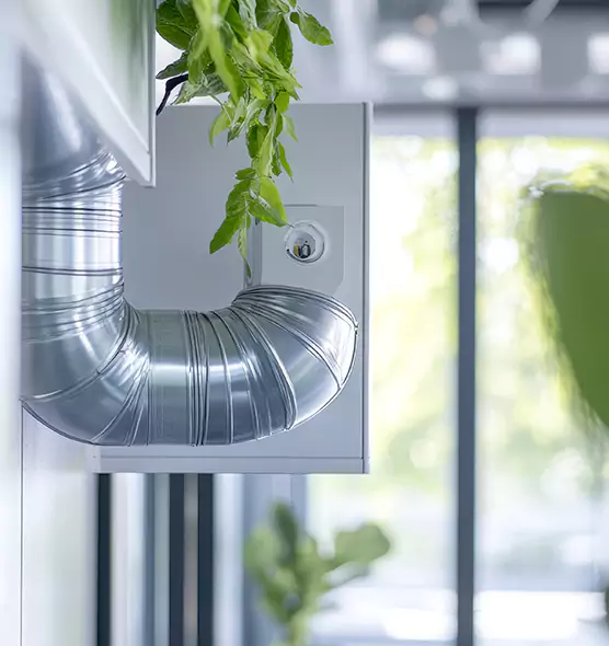 Professional Eco-Friendly Duct Cleaning Services in Olympia, WA