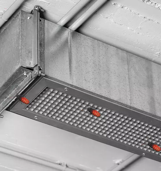 Affordable Insect Removal from Air Ducts in Olympia, WA