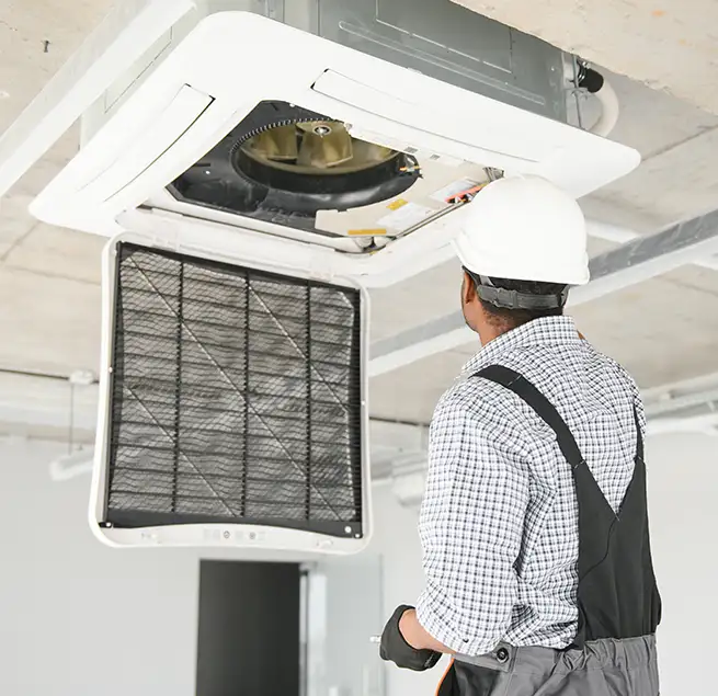 Why Homeowners & Businesses Trust Us in Olympia, WA?