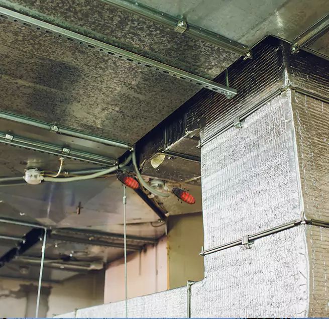 Why Homeowners & Businesses Trust Us in Olympia, WA?