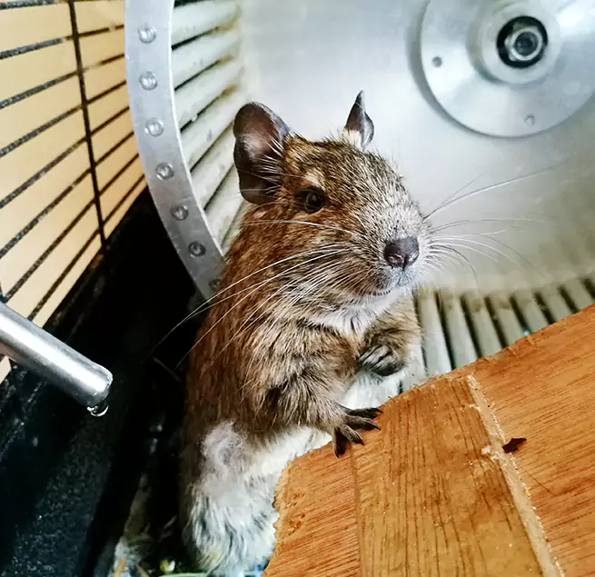 Why Homeowners & Businesses Trust Us Olympia, WA?