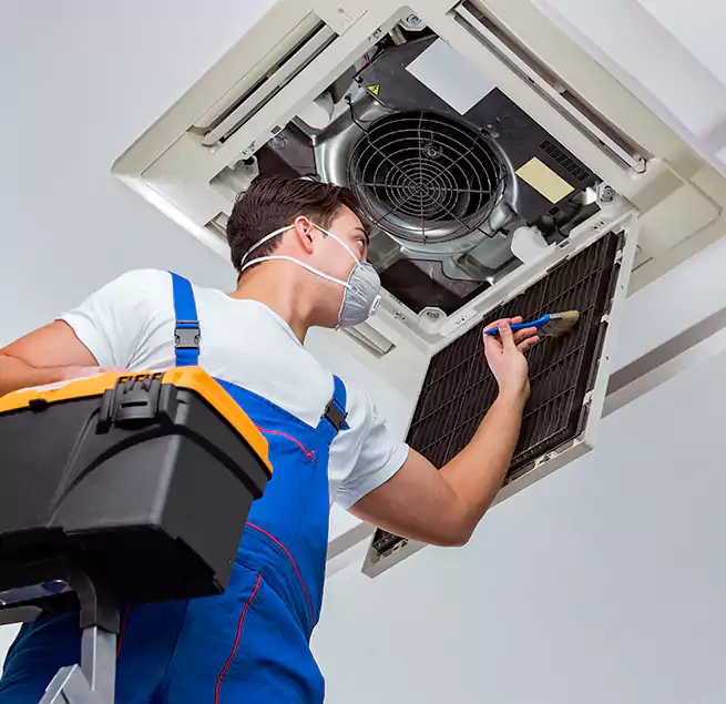 Why Homeowners & Businesses Trust Us in Olympia, WA