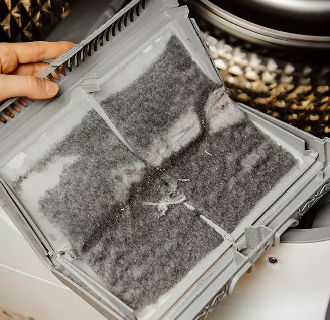 Why Homeowners & Businesses Trust Us Olympia, WA?