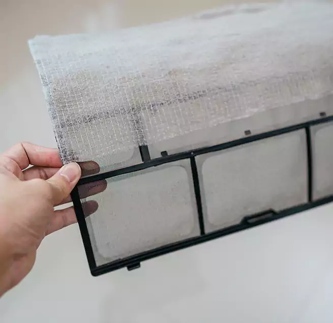 Why Homeowners & Businesses Trust Us in Olympia, WA?