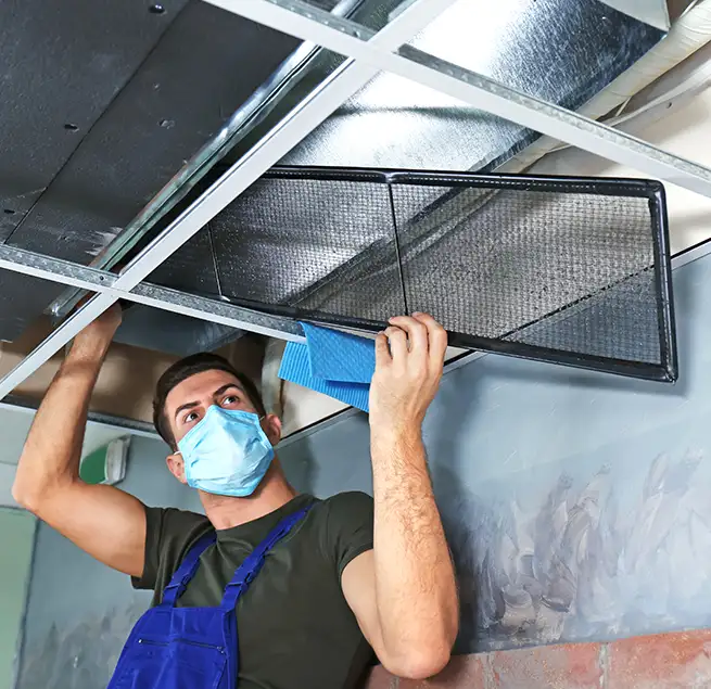 Why Homeowners & Businesses Trust Us in Olympia, WA?