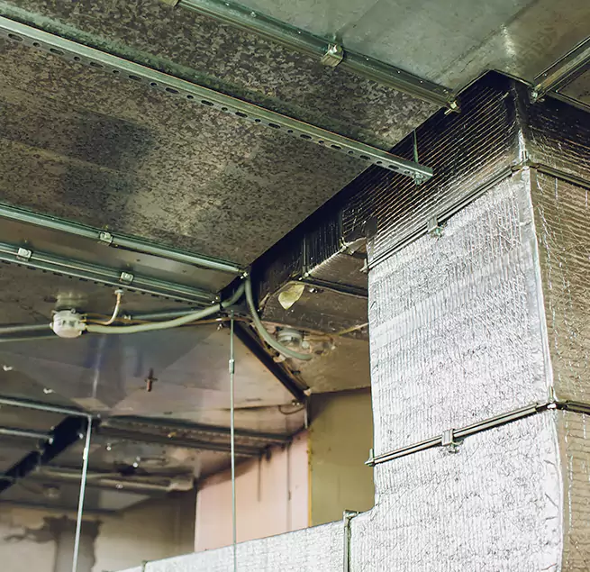 Why Homeowners & Businesses Trust Us in Olympia, WA?