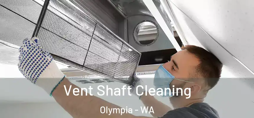 Vent Shaft Cleaning Olympia - WA